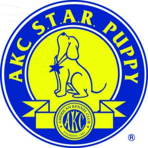 AKC STAR Puppy 